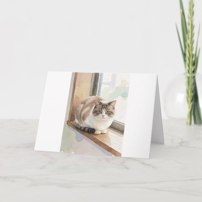 Domestic Shorthair Sunny Windowsill Nap Greeting C Card