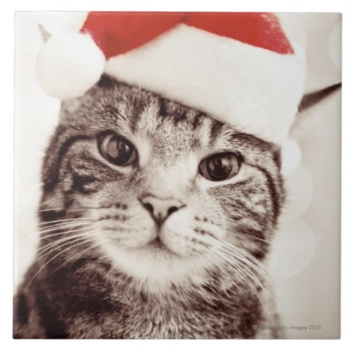 Domestic tabby cat wearing red Christmas hat Ceramic Tile