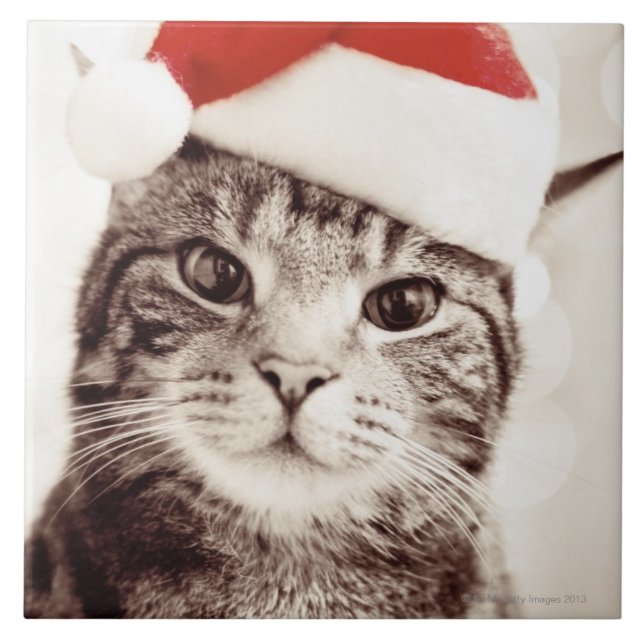 Domestic tabby cat wearing red Christmas hat Ceramic Tile (Front)