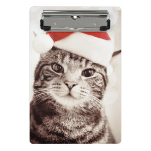 Domestic tabby cat wearing red Christmas hat Mini Clipboard