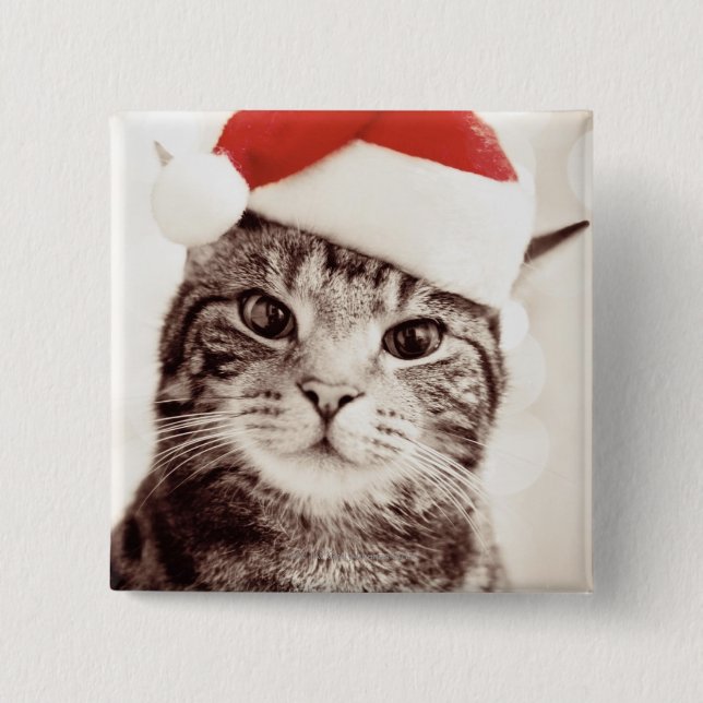 Domestic tabby cat wearing red Christmas hat Pinback Button (Front)