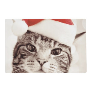 Domestic tabby cat wearing red Christmas hat Placemat