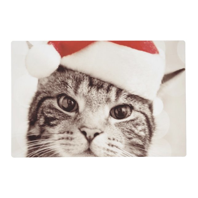 Domestic tabby cat wearing red Christmas hat Placemat (Front)