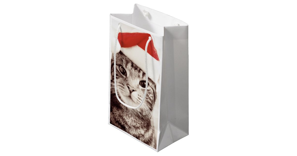 Domestic tabby cat wearing red Christmas hat Small Gift Bag Zazzle