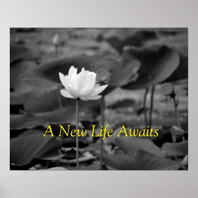 Domestic Violence Advocacy Posters III (Front)