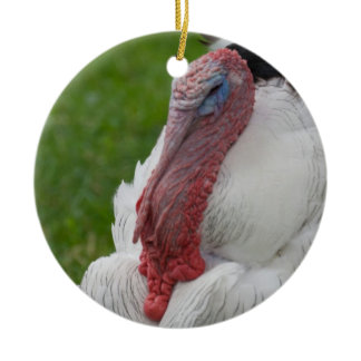 Domesticated Turkey Ceramic Ornament