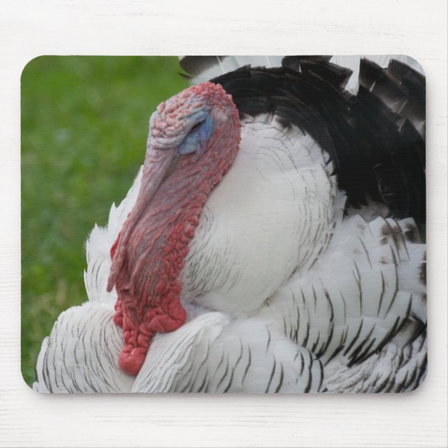 Domesticated Turkey Mouse Pad (Front)