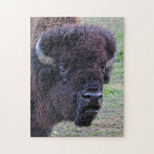 Dominant Bull Bison Jigsaw Puzzle
