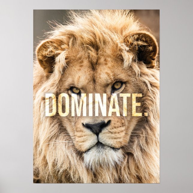 Dominate - Lion, Success, Entrepreneur, Gym Poster (Front)