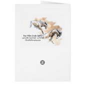 Domingo, of Marin County Cards (Back)