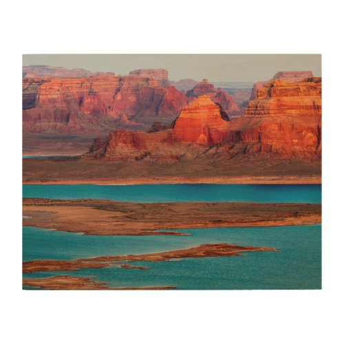 Dominguez Butte  Lake Powell Utah Wood Wall Art