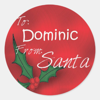 Dominic Personalized Holly Label41 Classic Round Sticker