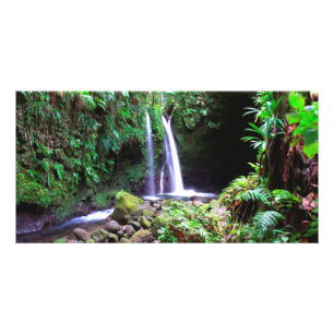 Dominica Emerald Pool Card