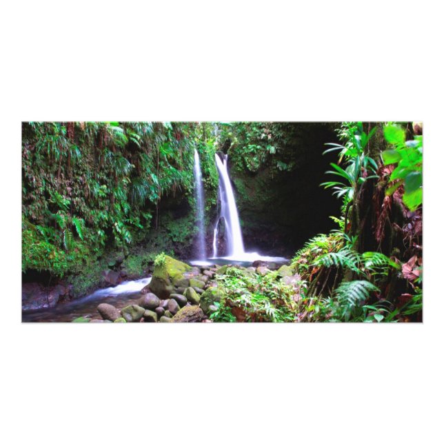Dominica Emerald Pool Card (Front)