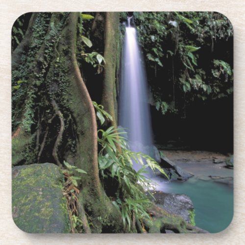 Dominica Emerald Pool Waterfall Beverage Coaster
