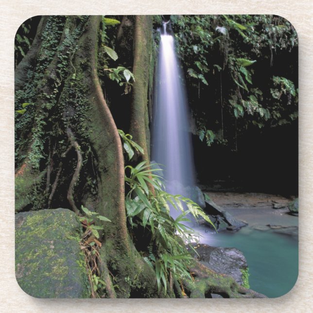 Dominica, Emerald Pool, Waterfall. Beverage Coaster (Front)
