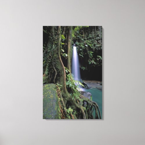 Dominica Emerald Pool Waterfall Canvas Print