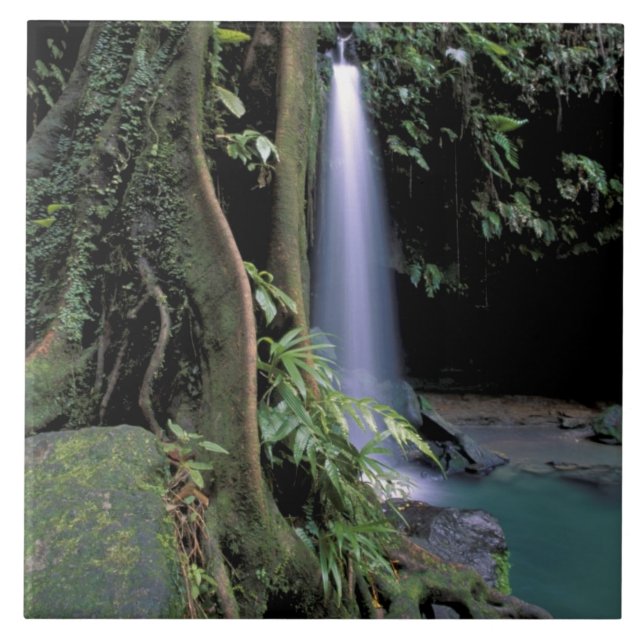 Dominica, Emerald Pool, Waterfall. Ceramic Tile (Front)