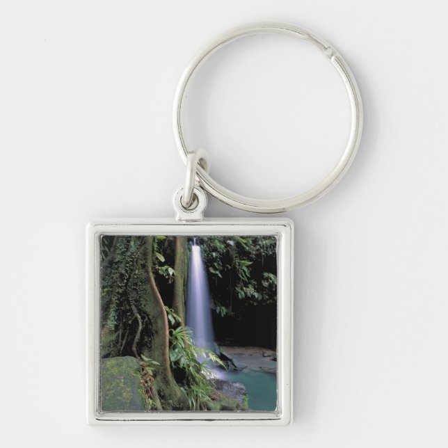 Dominica, Emerald Pool, Waterfall. Keychain (Front)