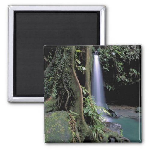 Dominica Emerald Pool Waterfall Magnet