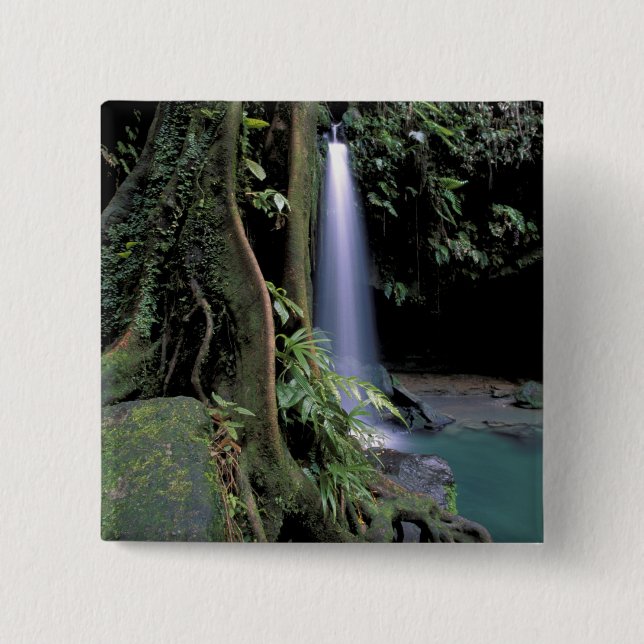 Dominica, Emerald Pool, Waterfall. Pinback Button (Front)