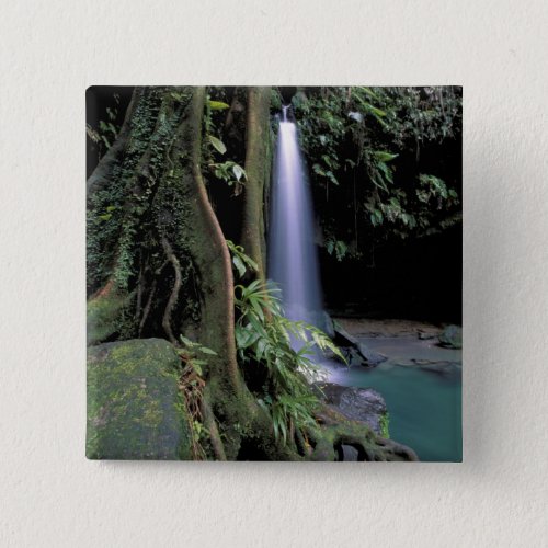 Dominica Emerald Pool Waterfall Pinback Button