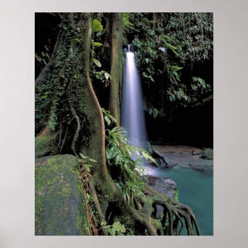 Dominica Emerald Pool Waterfall Poster