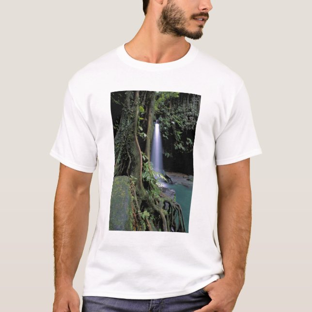Dominica, Emerald Pool, Waterfall. T-Shirt (Front)