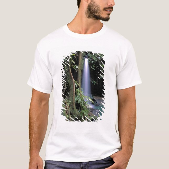 Dominica, Emerald Pool, Waterfall. T-Shirt (Front)