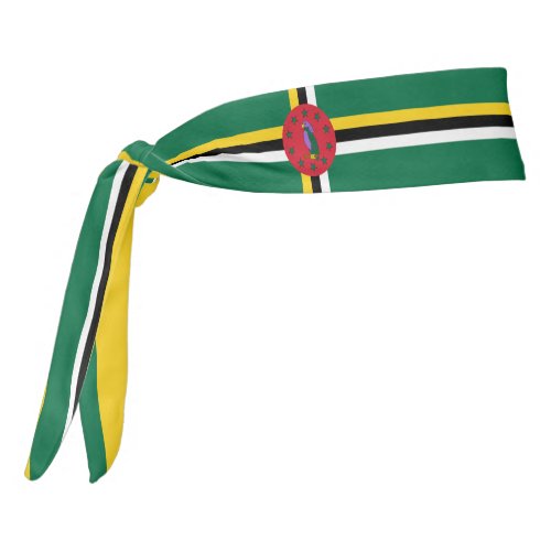 Dominica Flag Elegant Patriotic Tie Headband