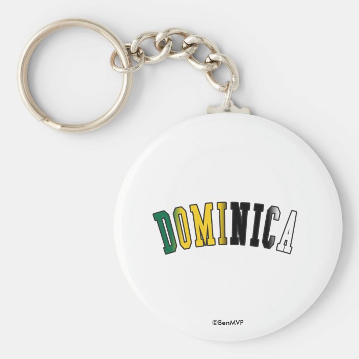Dominica in National Flag Colors Keychain