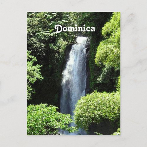 Dominica Postcard