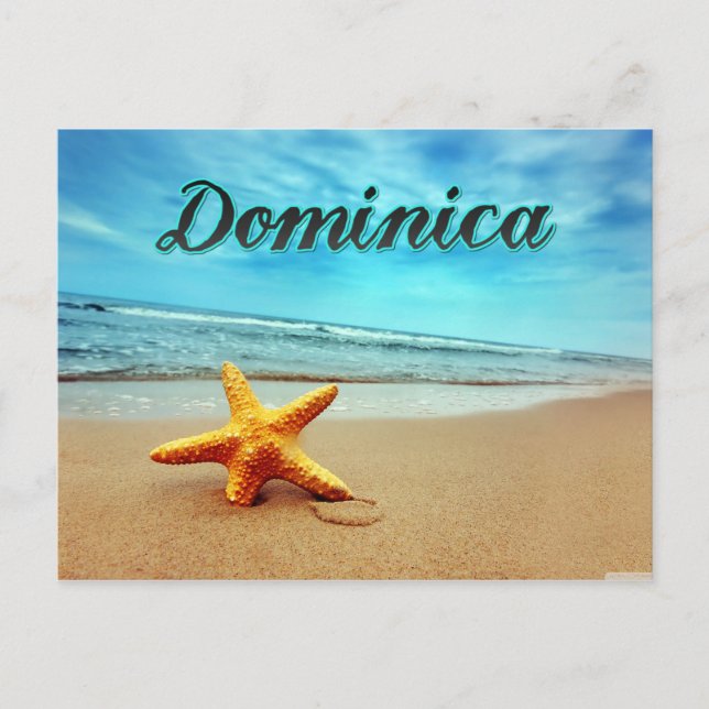 Dominica starfish postcard (Front)