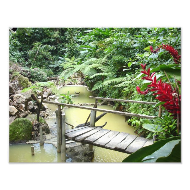 Dominica Sulpher pools Photo Print (Front)
