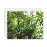 Dominican Rain Forest I Tropical Green Nature