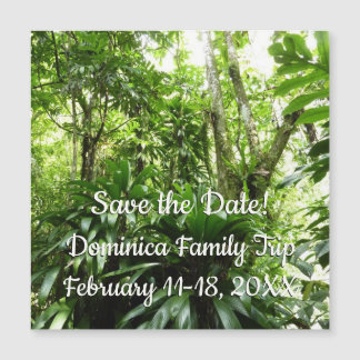 Dominican Rain Forest I Tropical Green Nature