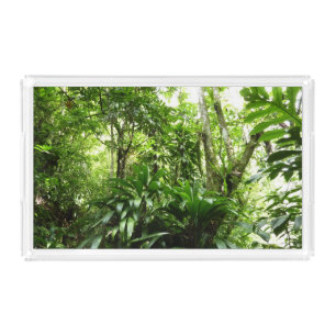 Dominican Rain Forest I Tropical Green Nature Acrylic Tray