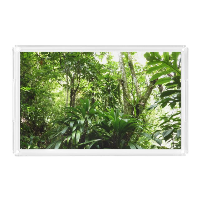 Dominican Rain Forest I Tropical Green Nature Acrylic Tray (Front)