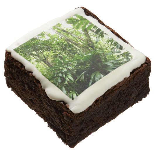 Dominican Rain Forest I Tropical Green Nature Brownie (Angled)