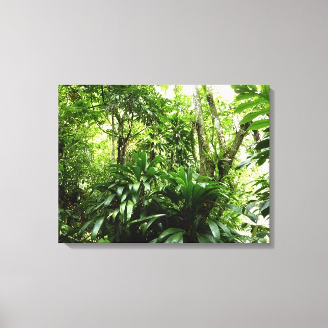 Dominican Rain Forest I Tropical Green Nature Canvas Print (Front)