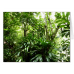 Dominican Rain Forest I Tropical Green Nature Card