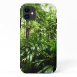 Dominican Rain Forest I Tropical Green Nature iPhone 11 Case