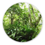 Dominican Rain Forest I Tropical Green Nature Ceramic Knob