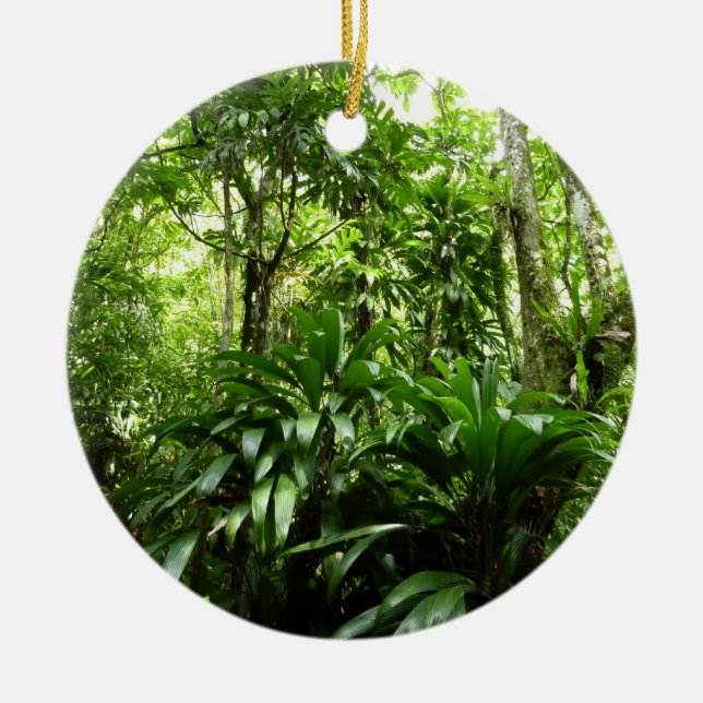 Dominican Rain Forest I Tropical Green Nature Ceramic Ornament (Front)
