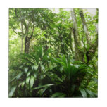 Dominican Rain Forest I Tropical Green Nature Ceramic Tile