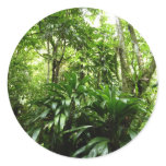 Dominican Rain Forest I Tropical Green Nature Classic Round Sticker
