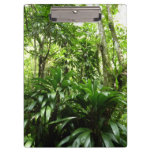 Dominican Rain Forest I Tropical Green Nature Clipboard