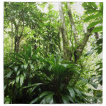 Dominican Rain Forest I Tropical Green Nature Cloth Napkin