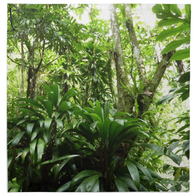 Dominican Rain Forest I Tropical Green Nature Cloth Napkin (Front)