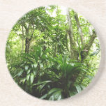 Dominican Rain Forest I Tropical Green Nature Coaster